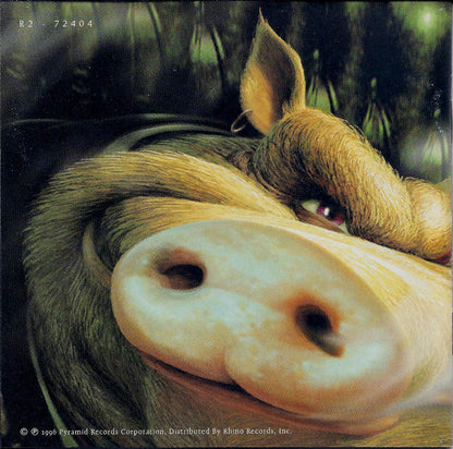 Band, The : High On The Hog (Album)