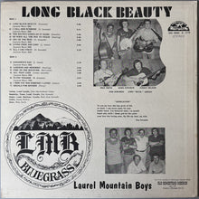Laurel Mountain Boys, The : Long Black Beauty (LP,Album)