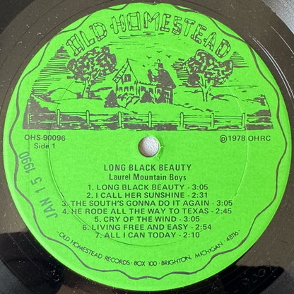 Laurel Mountain Boys, The : Long Black Beauty (LP,Album)