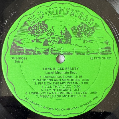 Laurel Mountain Boys, The : Long Black Beauty (LP,Album)