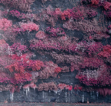 Sleep Token : Even In Arcadia  (LP,Limited Edition,Stereo)