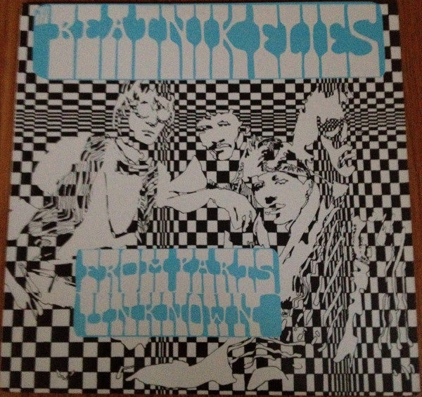 Beatnik Flies, The : From Parts Unknown (LP,Album)