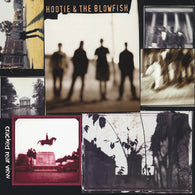 Hootie & the Blowfish - Cracked Rear View (LP Vinyl)