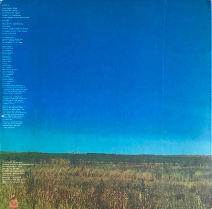 John Hambrick : Windmill In A Jet Filled Sky (LP,Album,Stereo)