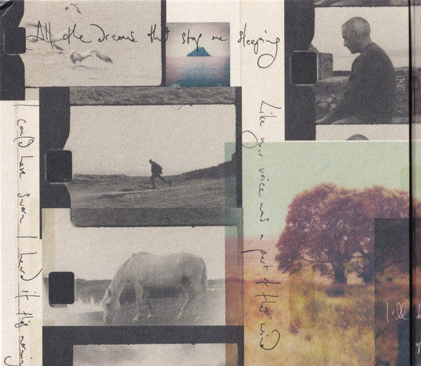 Dermot Kennedy : The Weight Of The Woods (Album)