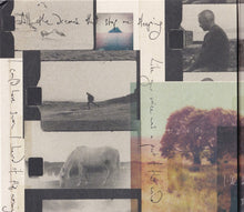 Dermot Kennedy : The Weight Of The Woods (Album)
