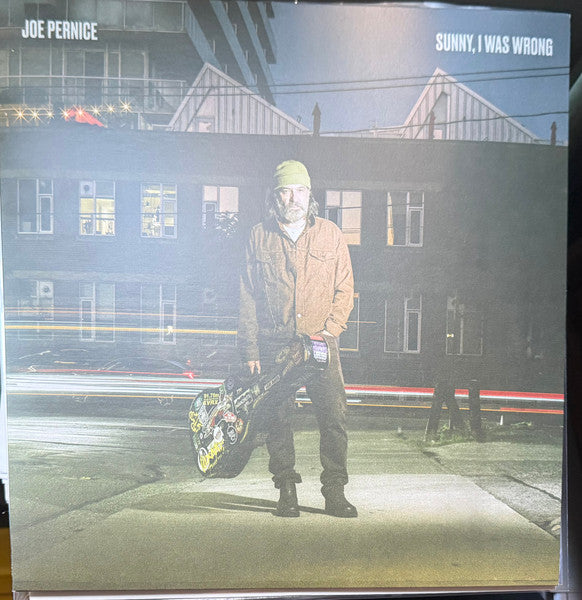 Joe Pernice : Sunny, I Was Wrong (LP,Album)