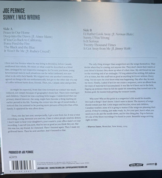 Joe Pernice : Sunny, I Was Wrong (LP,Album)