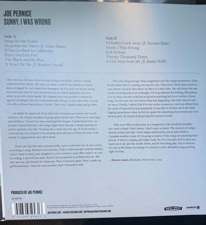 Joe Pernice : Sunny, I Was Wrong (LP,Album)