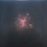 Swans : The Seer (LP,Album)