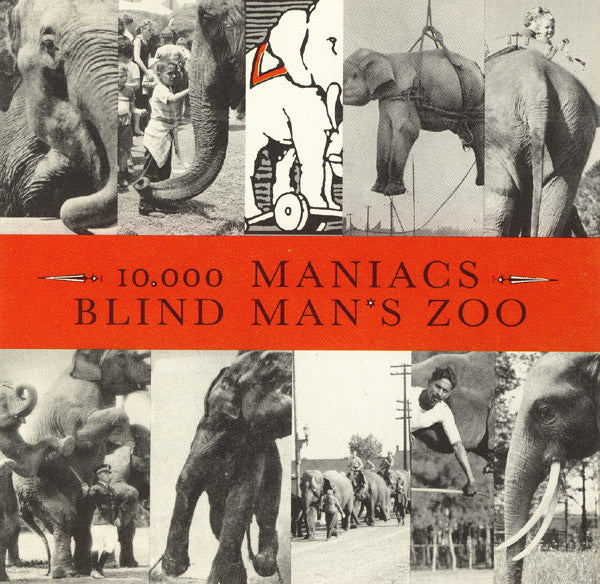 10,000 Maniacs : Blind Man's Zoo (Album)