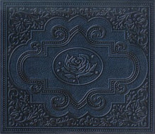 Ryan Adams & The Cardinals : Cold Roses (Album)