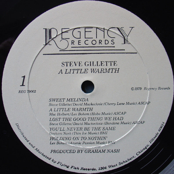 Steve Gillette : A Little Warmth (LP,Album)
