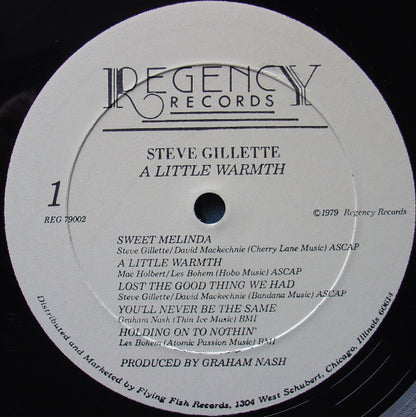 Steve Gillette : A Little Warmth (LP,Album)