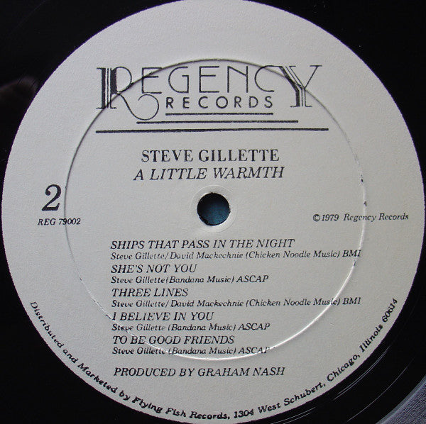 Steve Gillette : A Little Warmth (LP,Album)