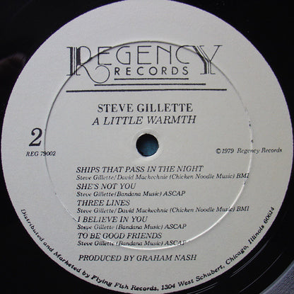 Steve Gillette : A Little Warmth (LP,Album)