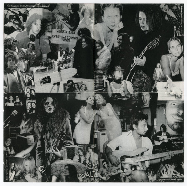 Veruca Salt : Eight Arms To Hold You (Album)