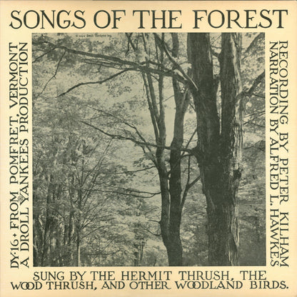 Peter Kilham Narration By Alfred L. Hawkes : Songs Of The Forest (LP,Album,Mono)