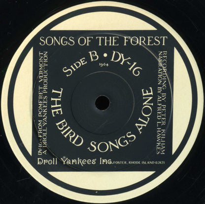 Peter Kilham Narration By Alfred L. Hawkes : Songs Of The Forest (LP,Album,Mono)