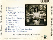 Edie Brickell : Picture Perfect Morning (Album)