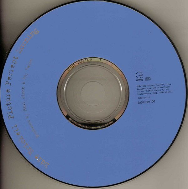 Edie Brickell : Picture Perfect Morning (Album)
