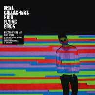 Noel Gallagher's High Flying Birds - In The Heat Of The Moment (12" LP)