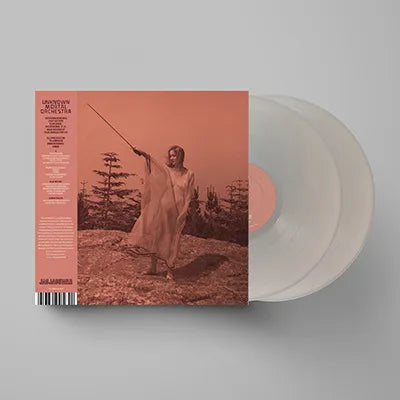 Unknown Mortal Orchestra - II (10 Year Anniversary, 2LP Vinyl) UPC: 617308056426