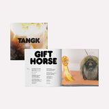 IDLES - TANGK (Deluxe Edition, Transparent Yellow LP Vinyl, Booklet) UPC:720841304180