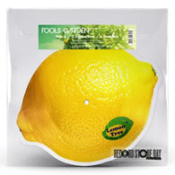 Fools Garden - Lemon Tree (RSD 2024, Lemon Shaped Picture Disc LP Vinyl) UPC: 4050538997460