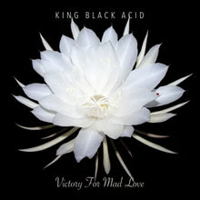 King Black Acid - Victory For Mad Love (RSD 2024, LP Vinyl) UPC: 789507018021