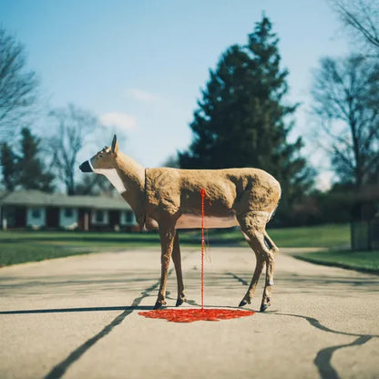 Wayne Graham - Bastion 