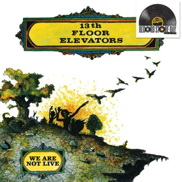 13th Floor Elevators We Are Not Live (LP Vinyl)