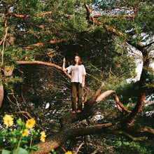 Packs - Melt The Honey (Gold LP Vinyl) UPC: 634457150072