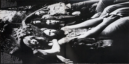 Steely Dan : Pretzel Logic (LP,Album,Reissue)