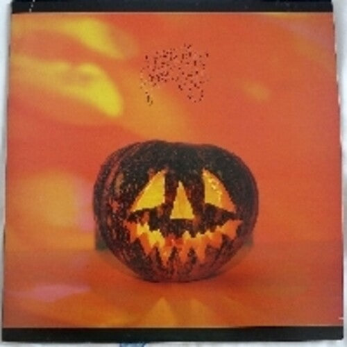 Sonic Youth - Walls Have Ears (LP Vinyl, Black or Silver Colored)