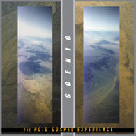 Scenic - The Acid Gospel Experience (RSD 2024, 2LP Vinyl) UPC: 761971507997