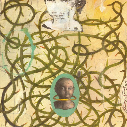 Toad The Wet Sprocket : Dulcinea (Album)