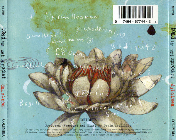 Toad The Wet Sprocket : Dulcinea (Album)