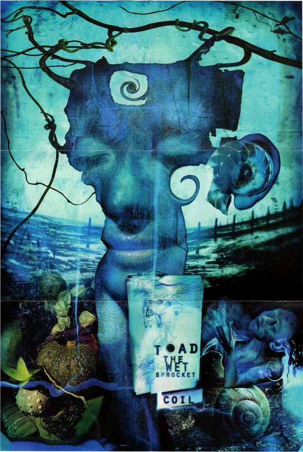Toad The Wet Sprocket : Coil (Album,Enhanced,Stereo)