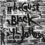 Syl Johnson : Is It Because I’m Black (LP,Album,Reissue)