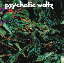 Psychotic Waltz : Mosquito (Album)
