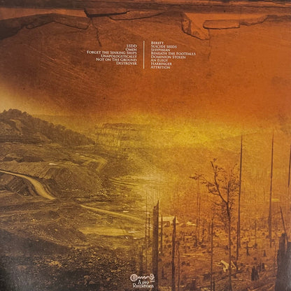 Ancient Shores / Cynarae : Ancient Shores​ / Cynarae (LP)