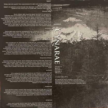 Ancient Shores / Cynarae : Ancient Shores​ / Cynarae (LP)