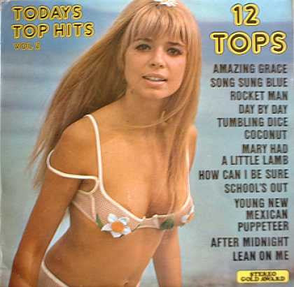 Unknown Artist : Todays Top Hits Vol 2 (LP)