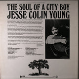 Jesse Colin Young : The Soul Of A City Boy (LP,Album,Reissue,Stereo)