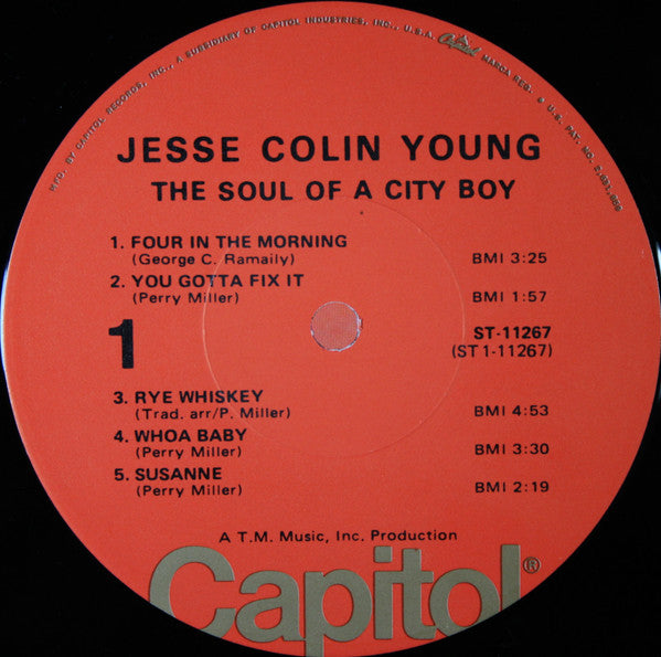 Jesse Colin Young : The Soul Of A City Boy (LP,Album,Reissue,Stereo)