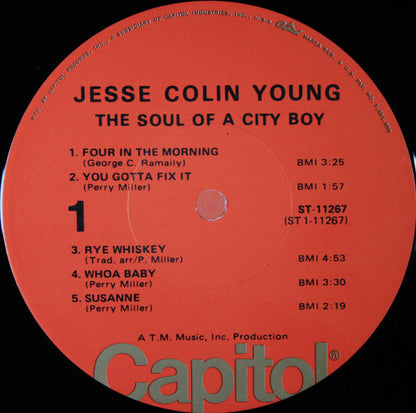 Jesse Colin Young : The Soul Of A City Boy (LP,Album,Reissue,Stereo)