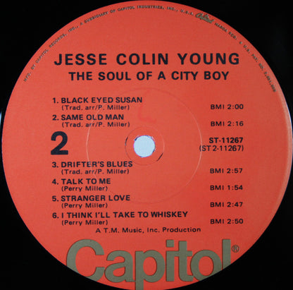 Jesse Colin Young : The Soul Of A City Boy (LP,Album,Reissue,Stereo)