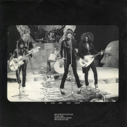 New York Dolls : In Too Much Too Soon (LP,Album,Stereo)