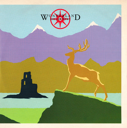 Big Country : Wonderland (12",45 RPM,Single)